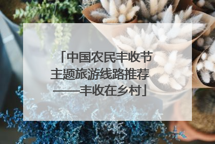 中国农民丰收节主题旅游线路推荐——丰收在乡村