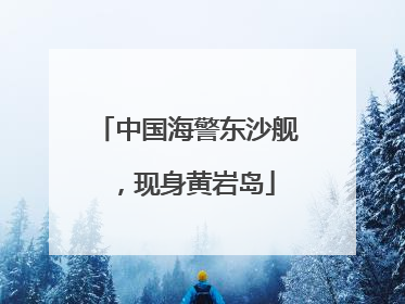 中国海警东沙舰，现身黄岩岛