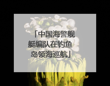 中国海警舰艇编队在钓鱼岛领海巡航