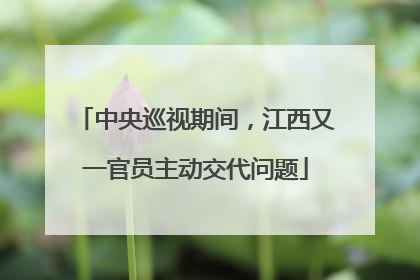 中央巡视期间，江西又一官员主动交代问题