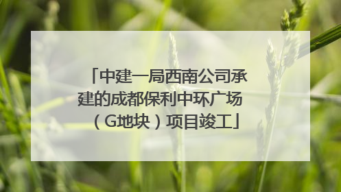 中建一局西南公司承建的成都保利中环广场（G地块）项目竣工