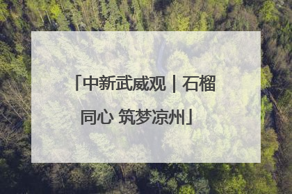 中新武威观｜石榴同心 筑梦凉州