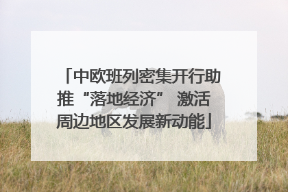 中欧班列密集开行助推“落地经济” 激活周边地区发展新动能