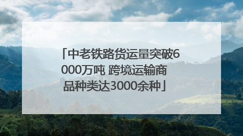 中老铁路货运量突破6000万吨 跨境运输商品种类达3000余种