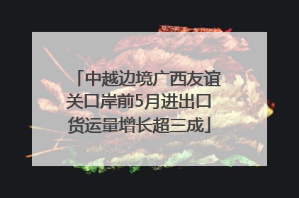 中越边境广西友谊关口岸前5月进出口货运量增长超三成
