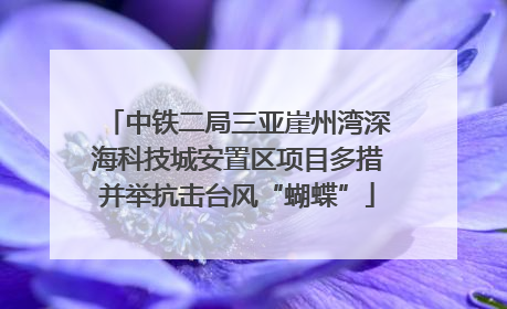 中铁二局三亚崖州湾深海科技城安置区项目多措并举抗击台风“蝴蝶”
