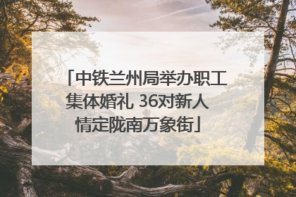 中铁兰州局举办职工集体婚礼 36对新人情定陇南万象街