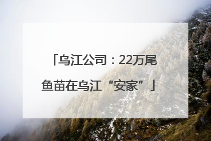 乌江公司：22万尾鱼苗在乌江“安家”