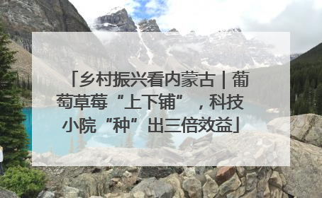乡村振兴看内蒙古｜葡萄草莓“上下铺”，科技小院“种”出三倍效益