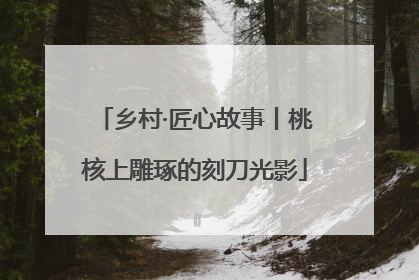 乡村·匠心故事丨桃核上雕琢的刻刀光影