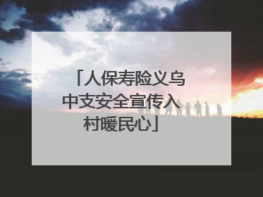 人保寿险义乌中支安全宣传入村暖民心