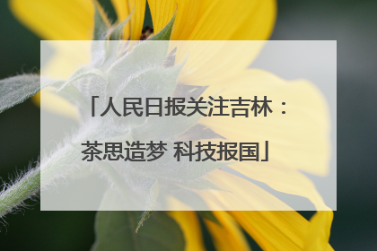 人民日报关注吉林：茶思造梦 科技报国