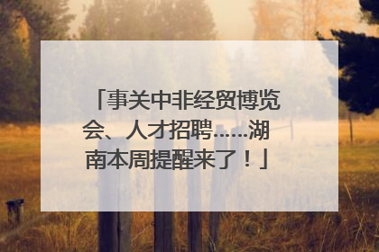 事关中非经贸博览会、人才招聘……湖南本周提醒来了！