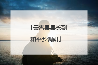 云霄县县长到和平乡调研