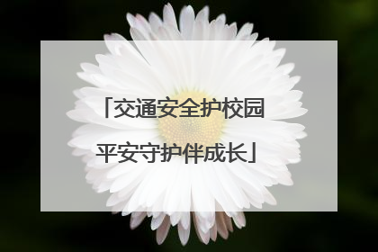 交通安全护校园 平安守护伴成长