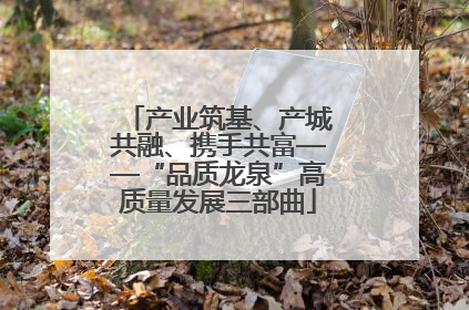 产业筑基、产城共融、携手共富——“品质龙泉”高质量发展三部曲