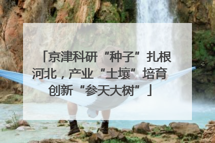 京津科研“种子”扎根河北，产业“土壤”培育创新“参天大树”