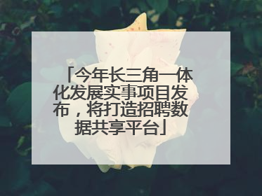 今年长三角一体化发展实事项目发布，将打造招聘数据共享平台
