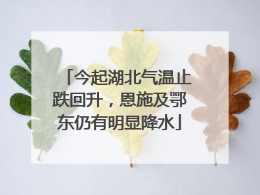 今起湖北气温止跌回升，恩施及鄂东仍有明显降水