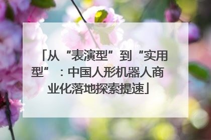从“表演型”到“实用型”：中国人形机器人商业化落地探索提速