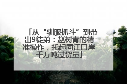 从“驯服抓斗”到带出9徒弟：赵树青的精准操作，托起同江口岸千万吨过货量