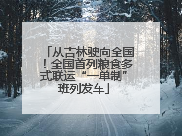 从吉林驶向全国！全国首列粮食多式联运“一单制”班列发车