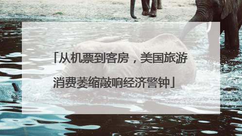 从机票到客房，美国旅游消费萎缩敲响经济警钟