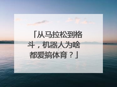 从马拉松到格斗，机器人为啥都爱搞体育？