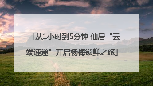 从1小时到5分钟 仙居“云端速递”开启杨梅锁鲜之旅
