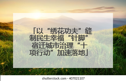 以“绣花功夫”缝制民生幸福“针脚” 宿迁城市治理“十项行动”加速落地
