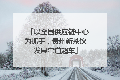 以全国供应链中心为抓手，贵州新茶饮发展弯道超车
