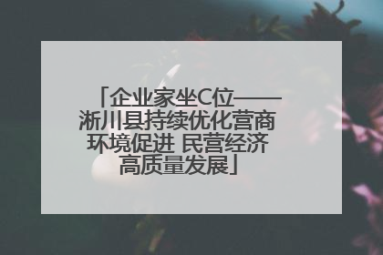 企业家坐C位——淅川县持续优化营商环境促进 民营经济高质量发展