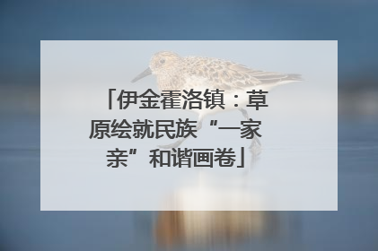 伊金霍洛镇：草原绘就民族“一家亲”和谐画卷