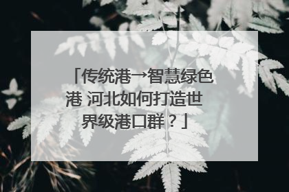 传统港→智慧绿色港 河北如何打造世界级港口群？