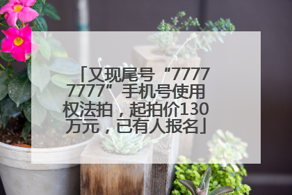 又现尾号“77777777”手机号使用权法拍，起拍价130万元，已有人报名