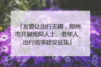 友爱让出行无碍，郑州市开展残障人士、老年人出行需求建议征集