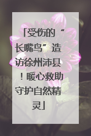 受伤的“长嘴鸟”造访徐州沛县！暖心救助守护自然精灵