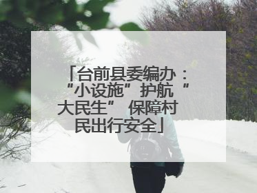 台前县委编办：“小设施”护航“大民生” 保障村民出行安全