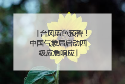 台风蓝色预警！中国气象局启动四级应急响应