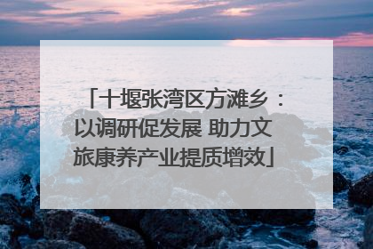 十堰张湾区方滩乡：以调研促发展 助力文旅康养产业提质增效