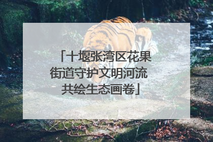 十堰张湾区花果街道守护文明河流 共绘生态画卷
