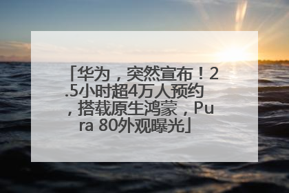 华为，突然宣布！2.5小时超4万人预约，搭载原生鸿蒙，Pura 80外观曝光