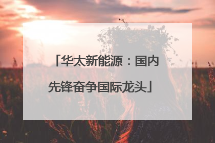华太新能源：国内先锋奋争国际龙头