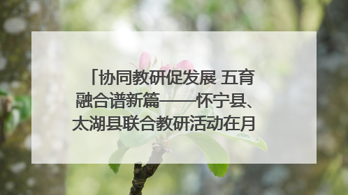 协同教研促发展 五育融合谱新篇——怀宁县、太湖县联合教研活动在月山镇中心学校成功举办