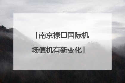 南京禄口国际机场值机有新变化
