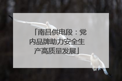 南昌供电段：党内品牌助力安全生产高质量发展