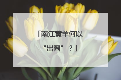 南江黄羊何以“出圈”？