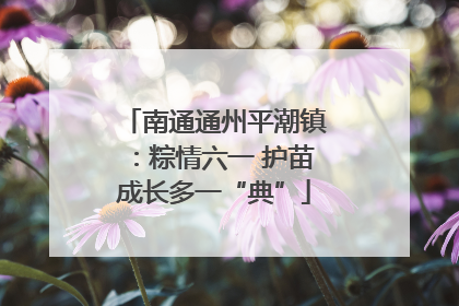 南通通州平潮镇：粽情六一 护苗成长多一“典”