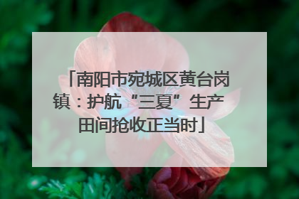 南阳市宛城区黄台岗镇：护航“三夏”生产 田间抢收正当时