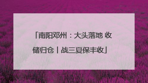 南阳邓州：大头落地 收储归仓丨战三夏保丰收